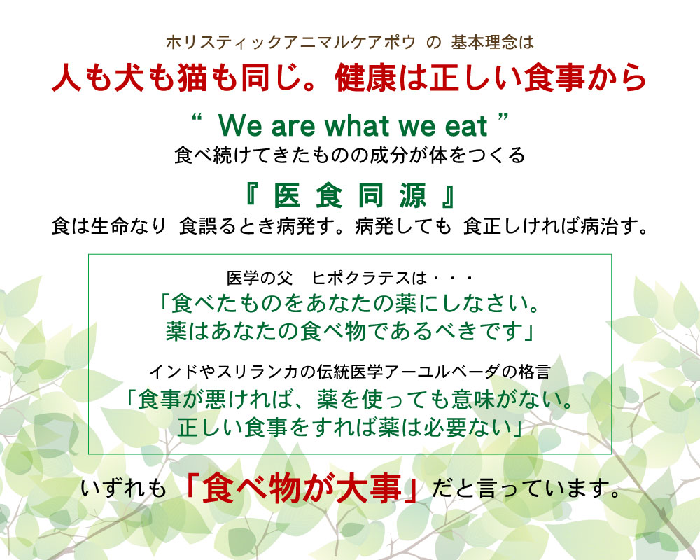 コンセプト | ホリスティックアニマルケアポウ